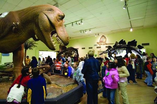 Greensboro Science Center Dinosaur Exhibit